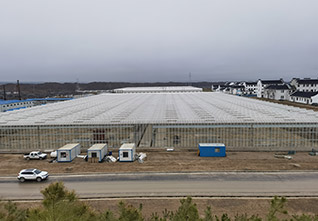 Aluminum-Gutter-Glass-Greenhouse-12