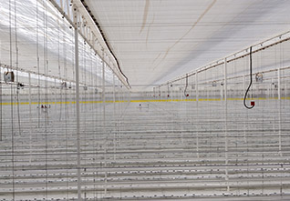 Semi-Closed-Greenhouse-13