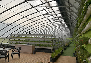 A-frame-Vertical-Cultivation-Rack-14