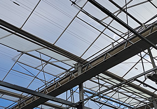 Double-open-window-Greenhouse-11