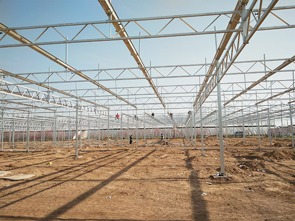 PC-Sheet-Greenhouse-Skeleton-2