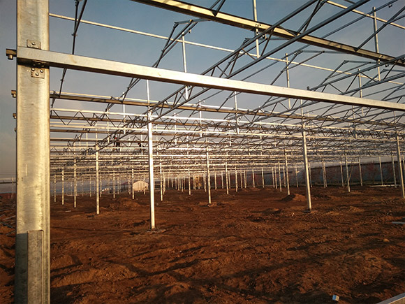 PC-Sheet-Greenhouse-Skeleton-3