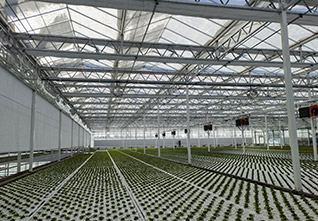 Seedbed-Planting-System-11