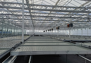 Seedbed-Planting-System-12