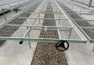 Seedbed-Planting-System-14