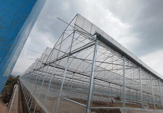 Serrated-Plastic-Greenhouse-14