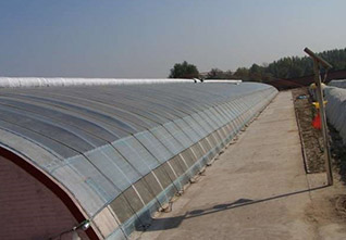 Solid-wall-Solar-Greenhouse-12