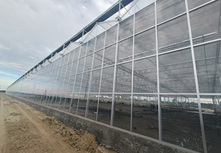 Steel-Gutter-Glass-Greenhouse-12