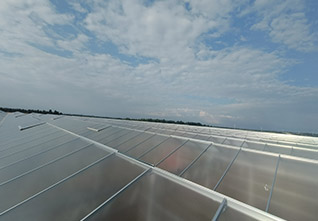 Steel-Gutter-Glass-Greenhouse-13