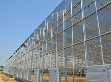 Research glass greenhouse 1