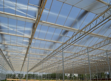 Research glass greenhouse2