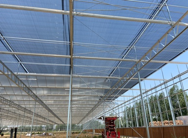 Research glass greenhouse4